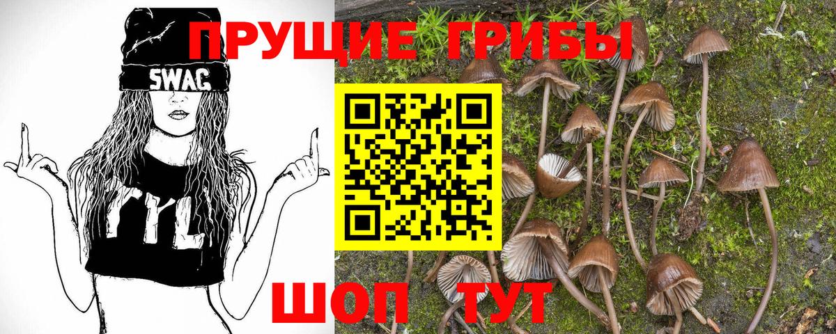 Псилоцибиновые грибы ЛСД Щёлково